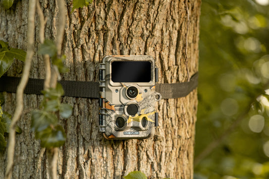 De 5 grootste wildcamera voordelen