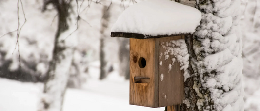 Vogelhuisjes in de Winter: Bied Vogels een Warm en Veilig Thuis