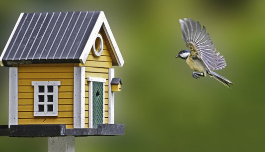 Vogelhuisjes: Breng Leven in je Tuin en Geniet van de Natuur!