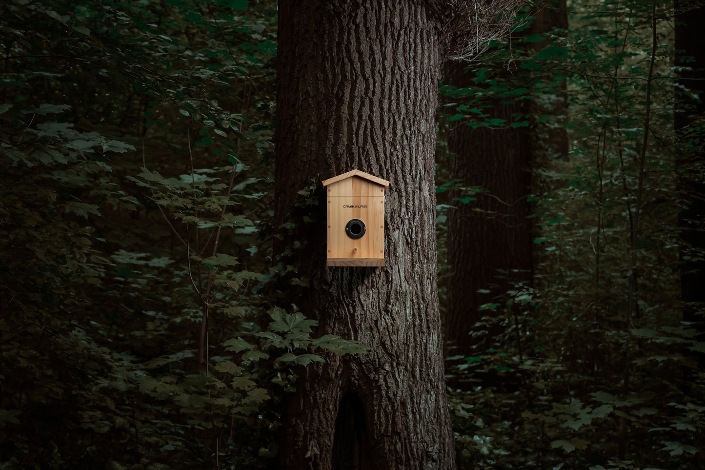 Camouflage EZ-NestEye birdhouse with AI camera