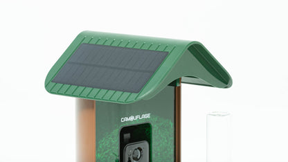 Camouflage EZ-BirdFeed - Bird feeder with AI camera