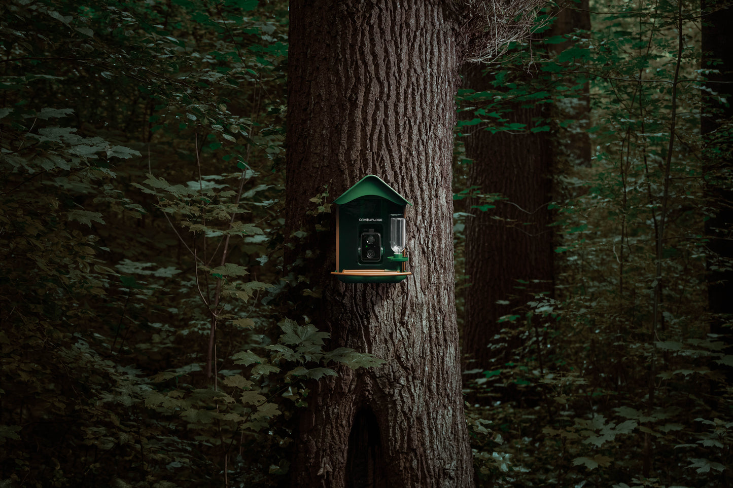 Camouflage EZ-BirdFeed - Vogel voederhuisje met AI-camera