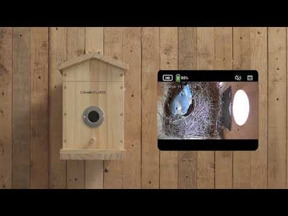 Camouflage EZ-NestEye birdhouse with AI camera